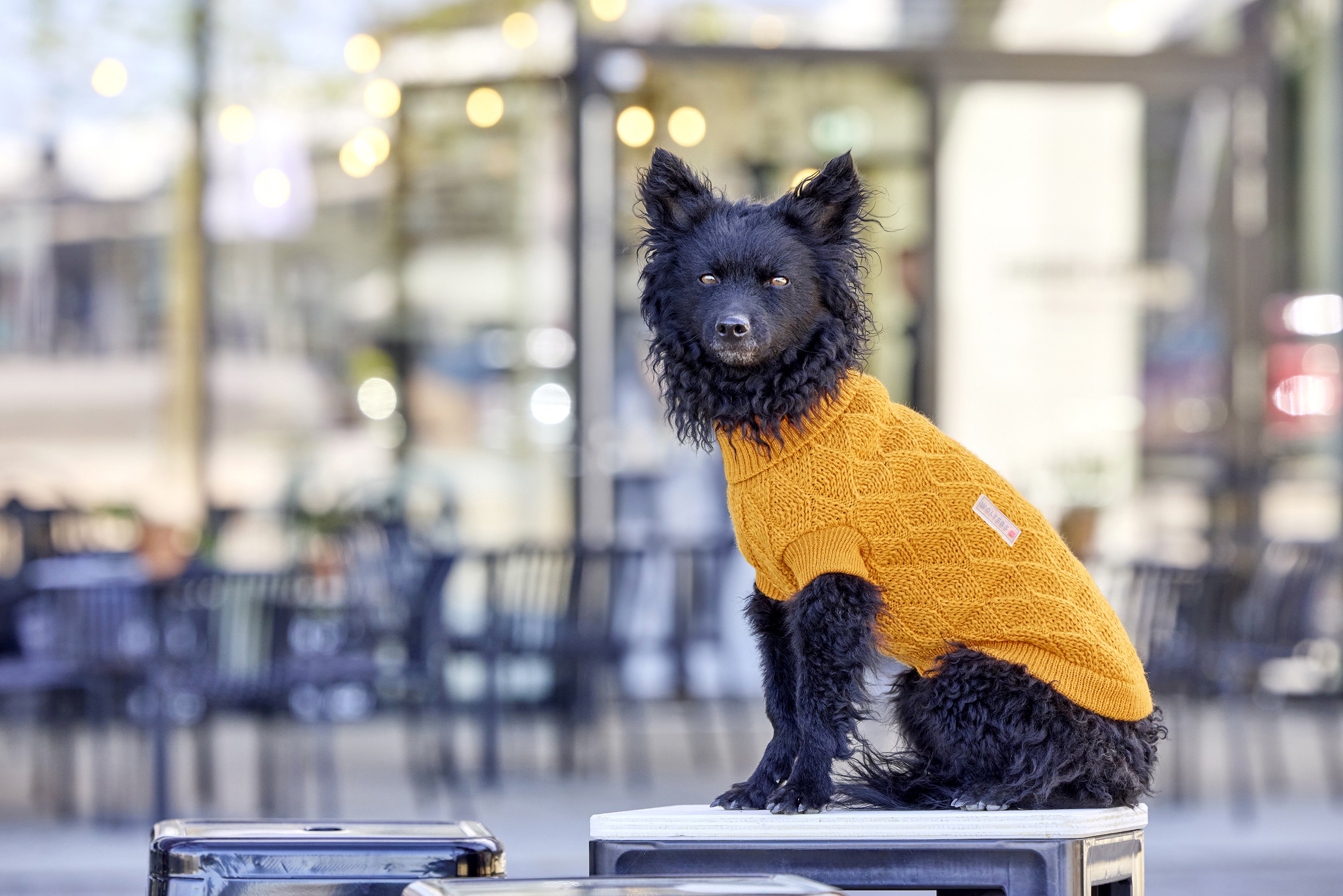 Knitted Pullover Diamond 